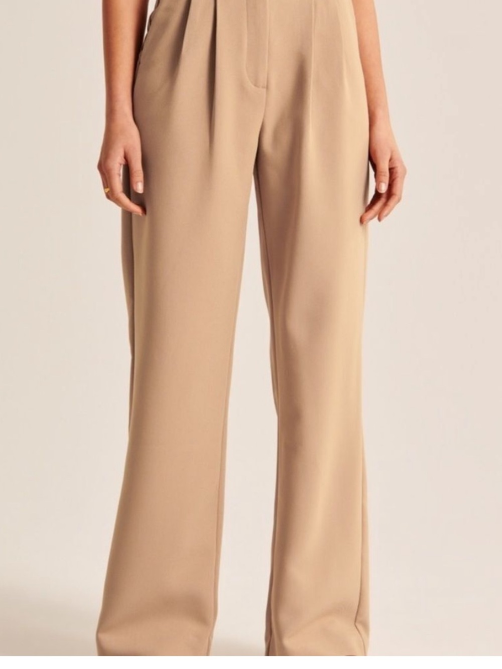 Abercrombie & Fitch Sloane Tailored Pants - Picture 2 of 12